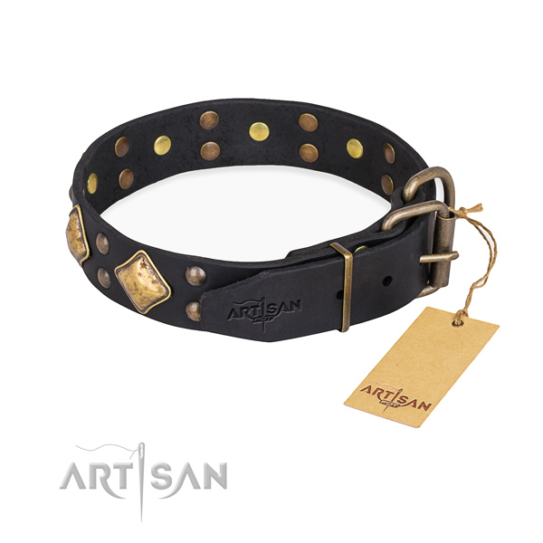 Genuine leather dog collar with exceptional rust resistant studs