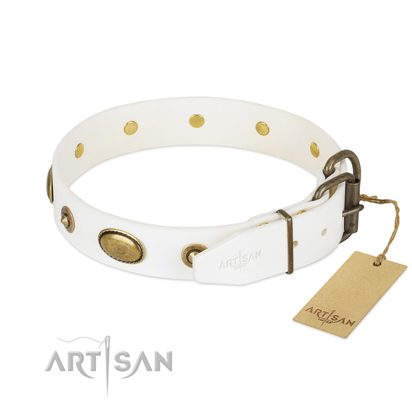 Durable studs on leather dog collar for your four-legged friend