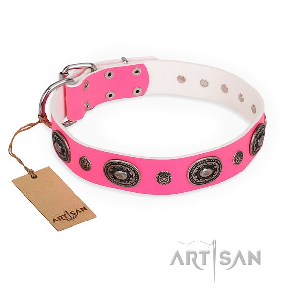 Soft full grain leather dog collar crafted for basic training