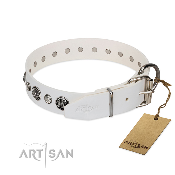 Top notch leather dog collar with corrosion resistant fittings