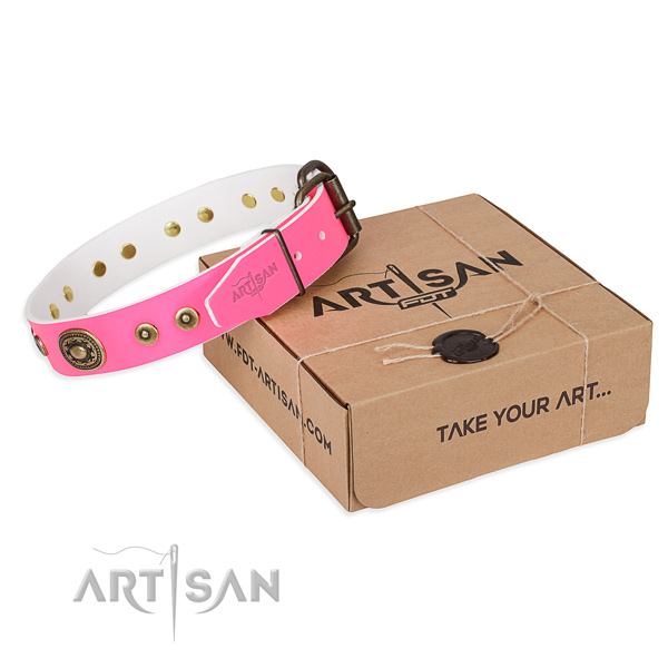 Full grain natural leather dog collar made of flexible material with reliable traditional buckle