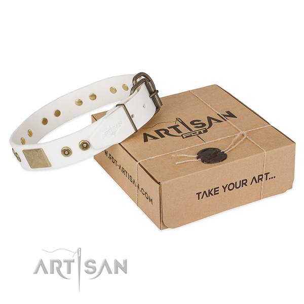 Trendy natural leather collar for your stylish dog