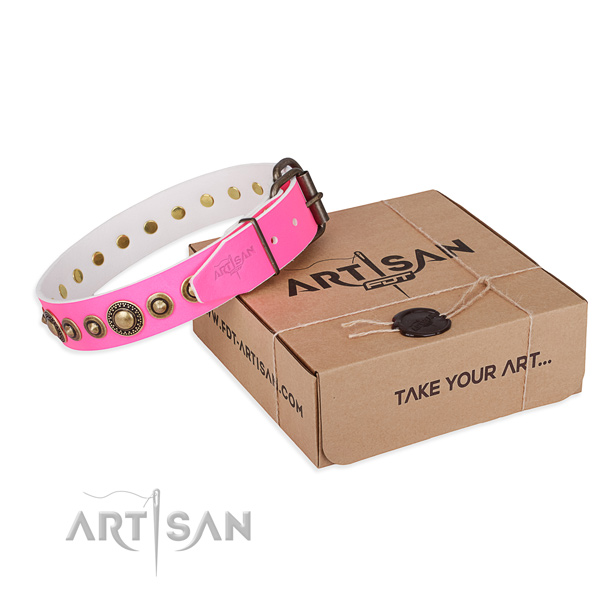 Quality full grain leather dog collar made for basic training