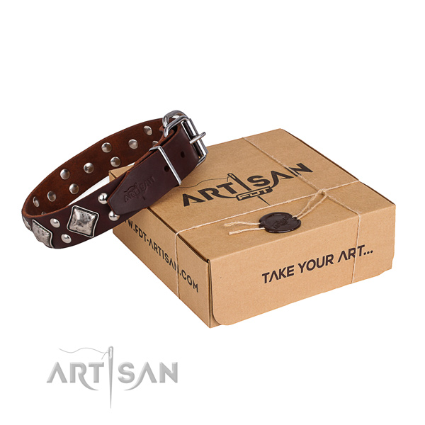 Fancy walking dog collar with Awesome rust resistant embellishments
