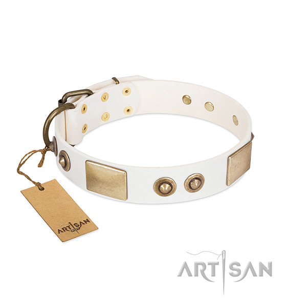 Rust-proof fittings on genuine leather dog collar for your four-legged friend