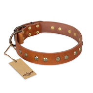 "Spring Flavor" FDT Artisan Adorned Leather Belgian Malinois Collar with Old Bronze-Plated Engraved Studs