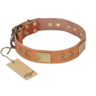 "The Middle Ages" FDT Artisan Handcrafted Tan Leather Belgian Malinois Collar