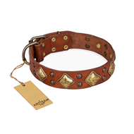"Flight of Fancy" FDT Artisan Adorned Leather Belgian Malinois Collar
