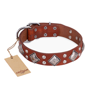 "Magic Squares" FDT Artisan Tan Leather Belgian Malinois Collar with Silver-like Decor