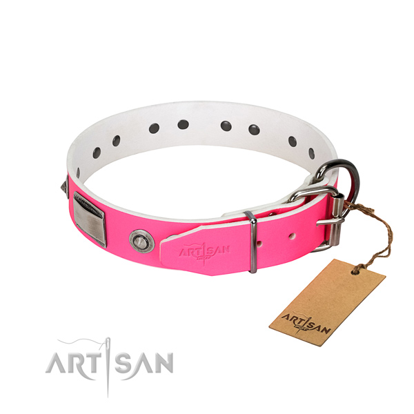 Stylish dog collar of full grain genuine leather with embellishments