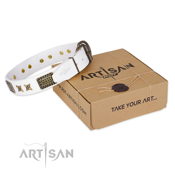 Corrosion proof D-ring on full grain natural leather collar for your impressive dog