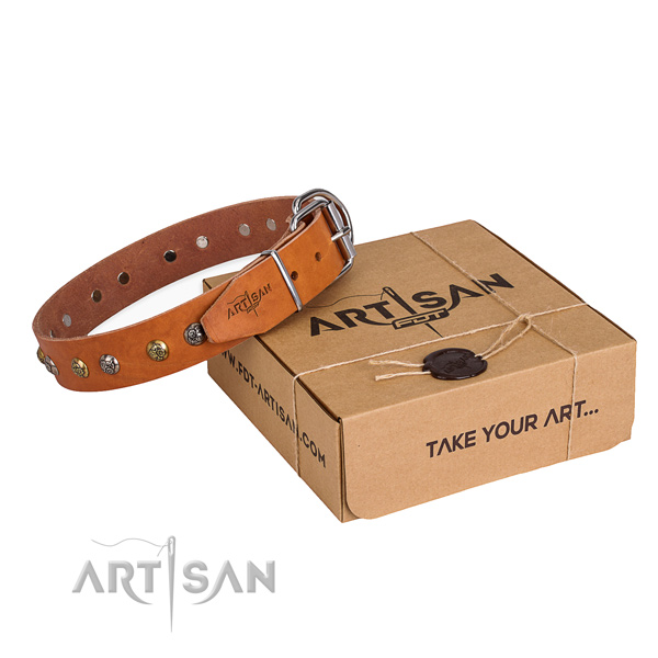 Easy wearing dog collar with Stunning rust resistant decorations