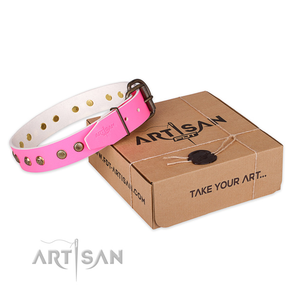 Reliable buckle on full grain leather collar for your handsome pet