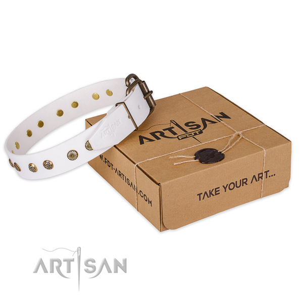 Rust-proof D-ring on genuine leather collar for your lovely canine