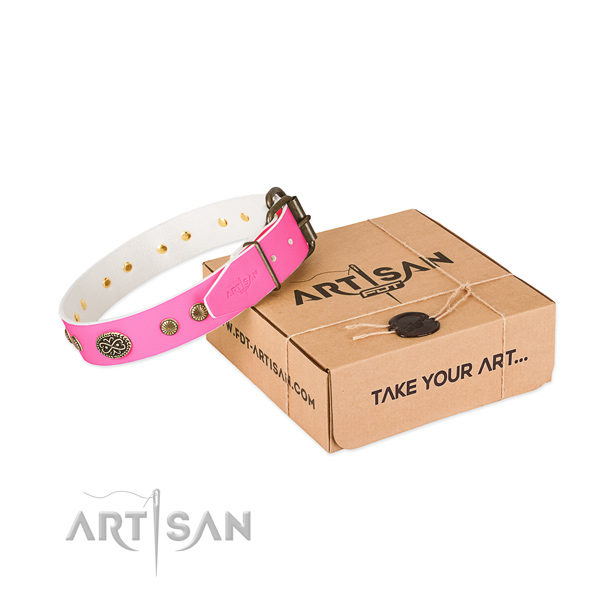 Reliable studs on leather dog collar for your doggie