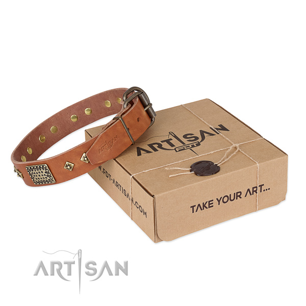 Trendy full grain natural leather collar for your attractive dog