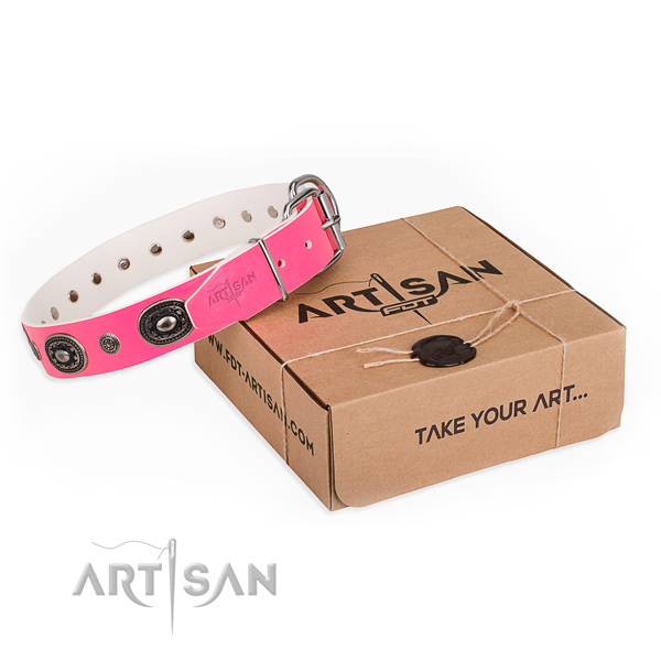 Gentle to touch leather dog collar crafted for daily walking