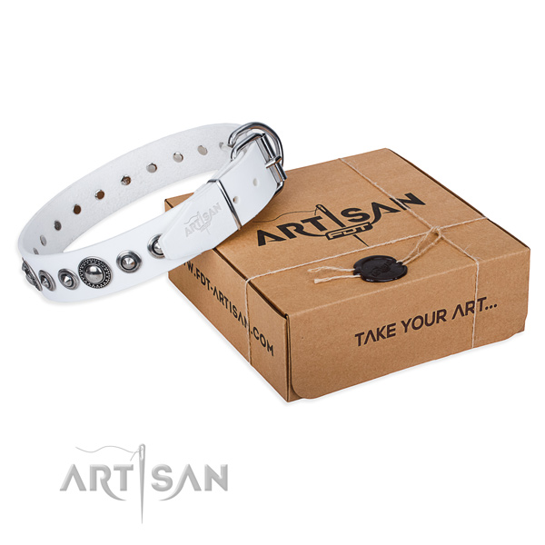 Full grain leather dog collar made of soft to touch material with corrosion proof traditional buckle