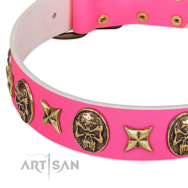 Leather dog collar with trendy studs