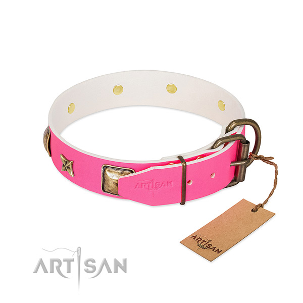 Rust resistant buckle on natural genuine leather collar for stylish walking your pet