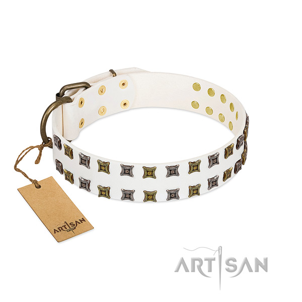 Strong genuine leather dog collar with embellishments for your dog