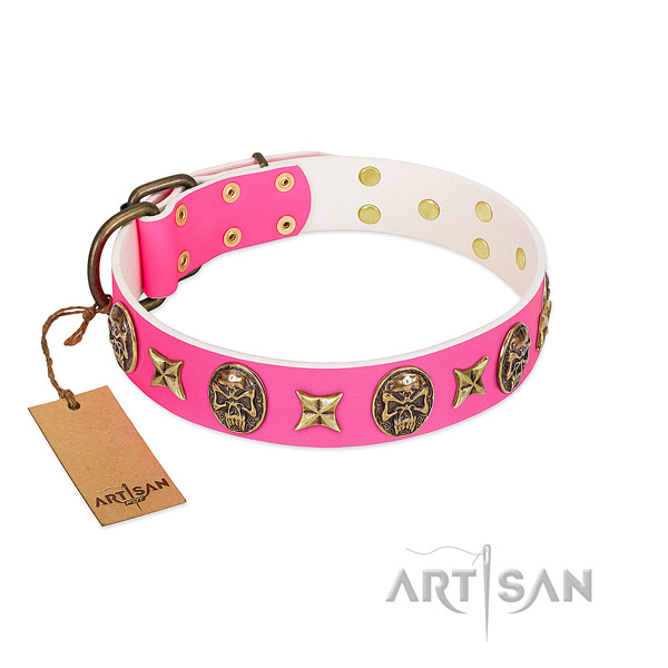 Leather dog collar with strong decorations