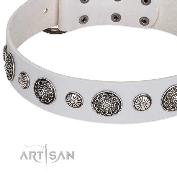 Full grain genuine leather collar with corrosion resistant D-ring for your stylish canine