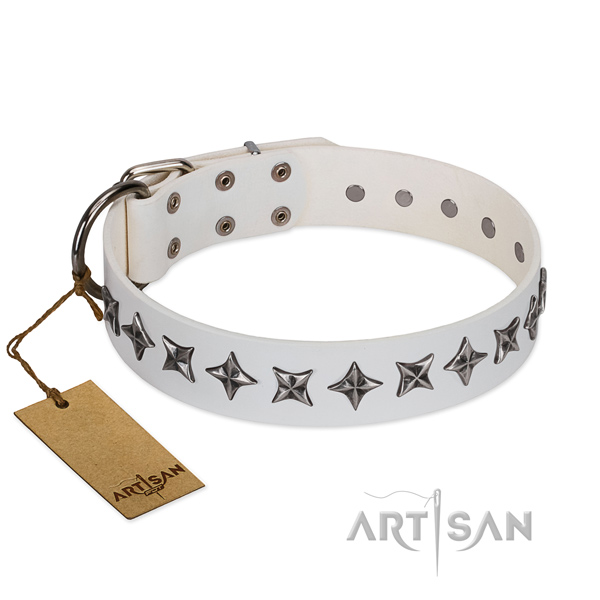 Everyday use dog collar of fine quality full grain leather with studs