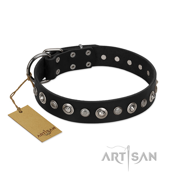 Reliable full grain leather dog collar with amazing adornments