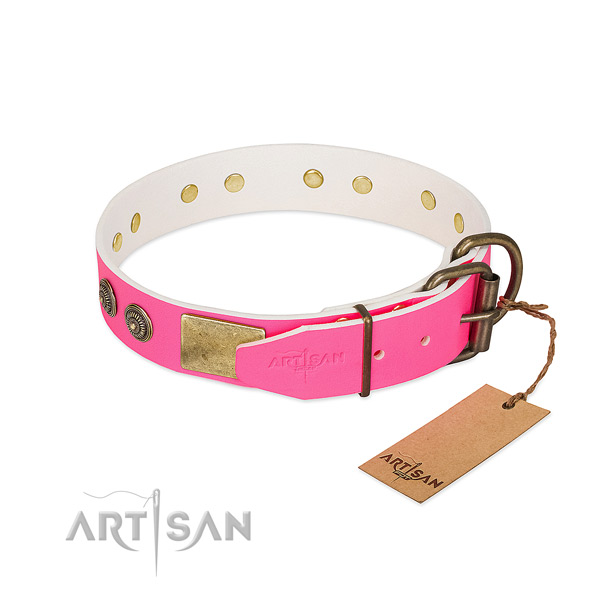 Strong traditional buckle on full grain natural leather collar for stylish walking your canine