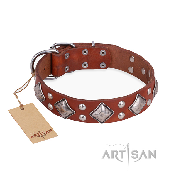 Fancy walking stylish dog collar with rust resistant buckle