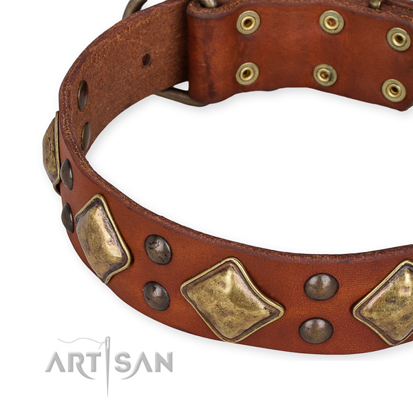 Full grain genuine leather collar with strong fittings for your handsome canine