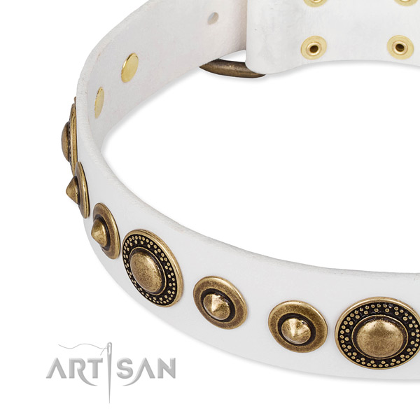 Soft full grain natural leather dog collar handmade for your handsome four-legged friend