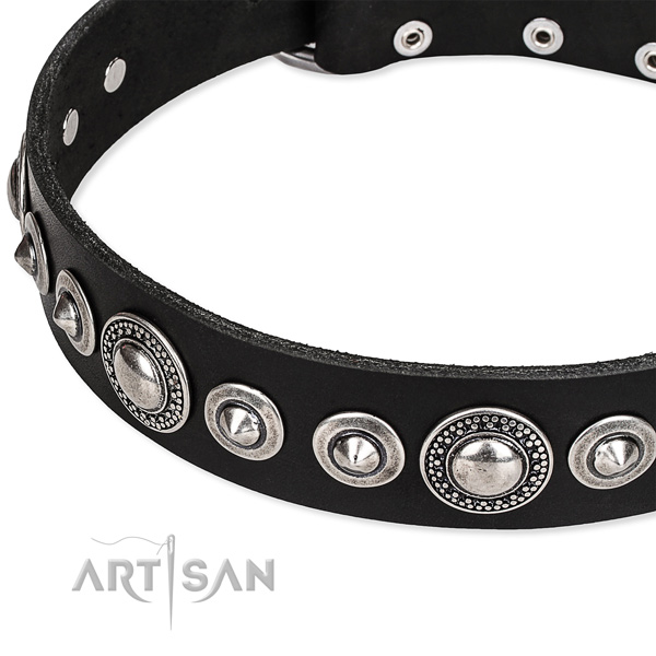 Walking embellished dog collar of reliable full grain leather