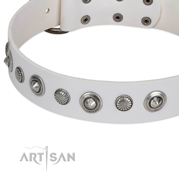 Full grain leather collar with corrosion proof hardware for your lovely pet