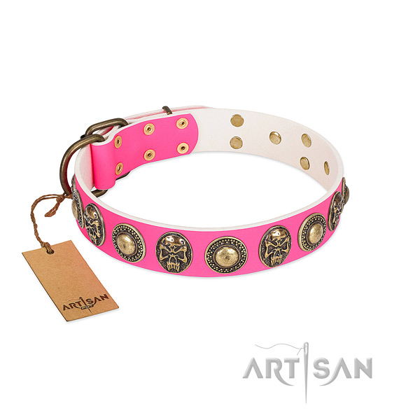 Easy adjustable full grain natural leather dog collar for walking your dog