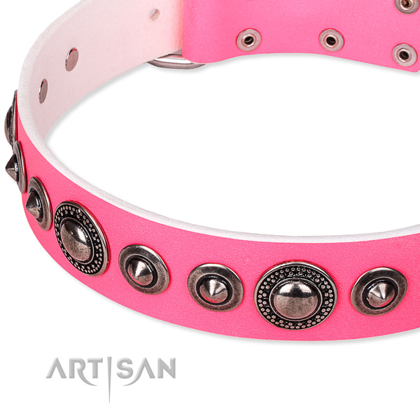 Stylish walking decorated dog collar of finest quality full grain natural leather