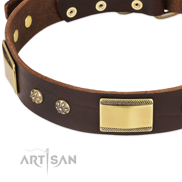 Rust-proof decorations on leather dog collar for your pet