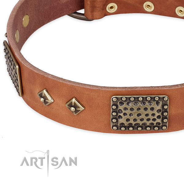 Durable adornments on leather dog collar for your dog