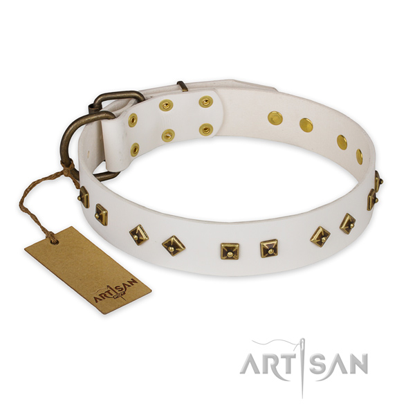 Fine quality genuine leather dog collar with reliable fittings