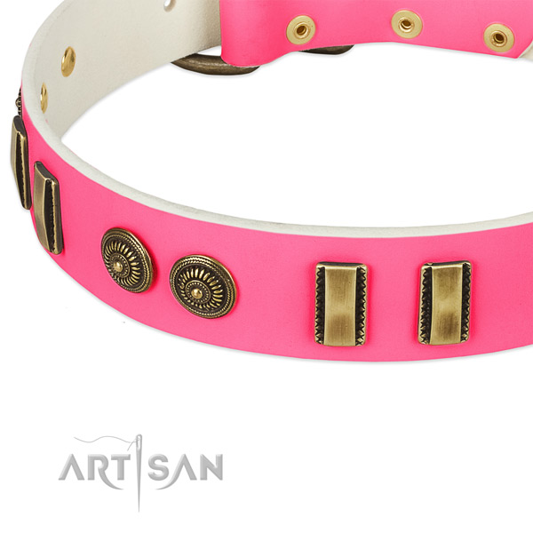 Durable adornments on natural leather dog collar for your doggie