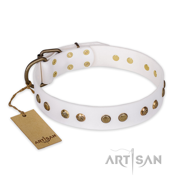 Handcrafted natural genuine leather dog collar with corrosion proof traditional buckle