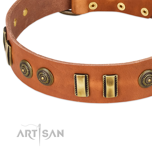 Durable buckle on full grain genuine leather dog collar for your canine
