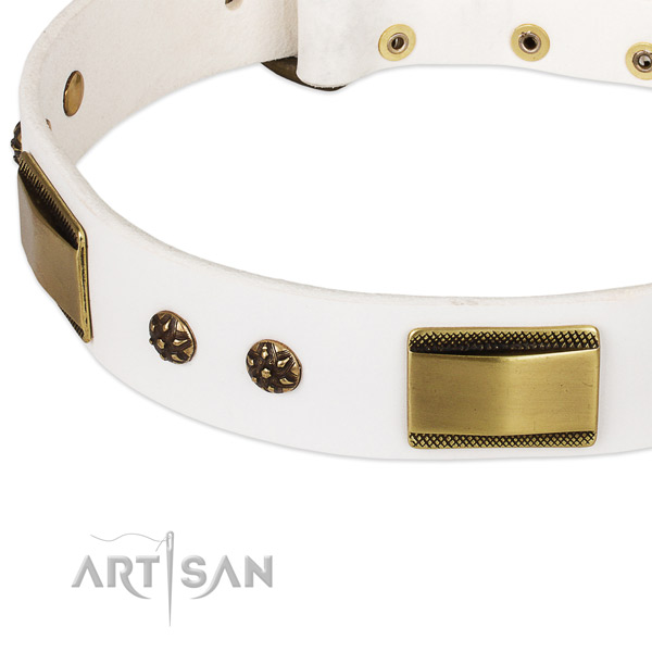Strong embellishments on genuine leather dog collar for your canine