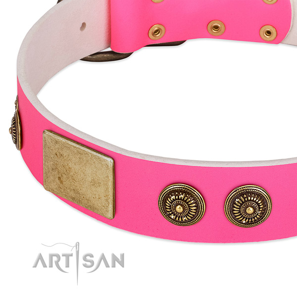Studded dog collar created for your stylish doggie