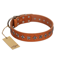 "Star Trek" FDT Artisan Tan Leather Belgian Malinois Collar Decorated with Stars