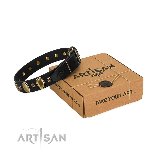 Stylish walking best quality full grain natural leather dog collar with studs