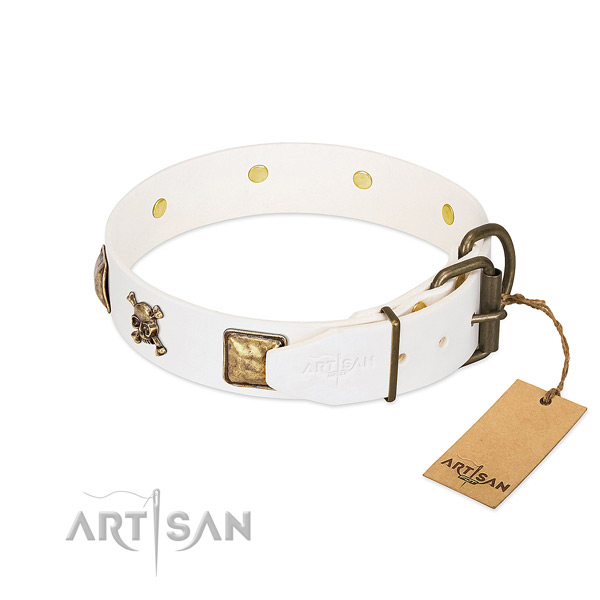Stylish natural leather dog collar with reliable embellishments