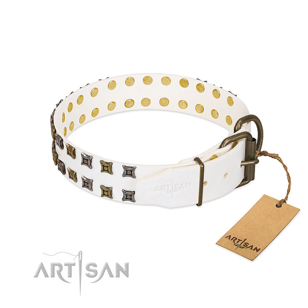 Leather collar with top notch decorations for your dog