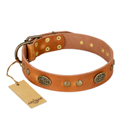 "Sun Beams" FDT Artisan Tan Leather Belgian Malinois Collar with Decorations